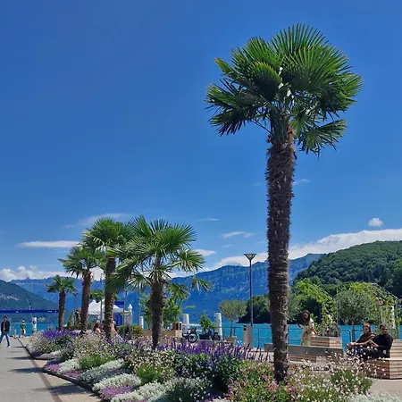 Swiss Lakeside *
