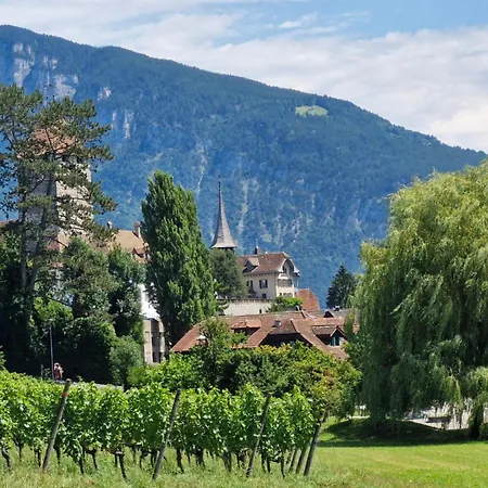 Swiss Lakeside شقة سبيز