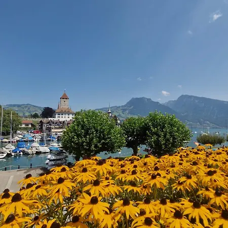 Swiss Lakeside شقة