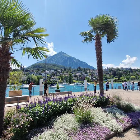 Swiss Lakeside شقة
