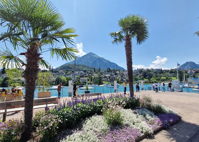 Swiss Lakeside Lejlighed